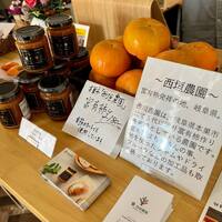 画像283