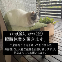 画像409