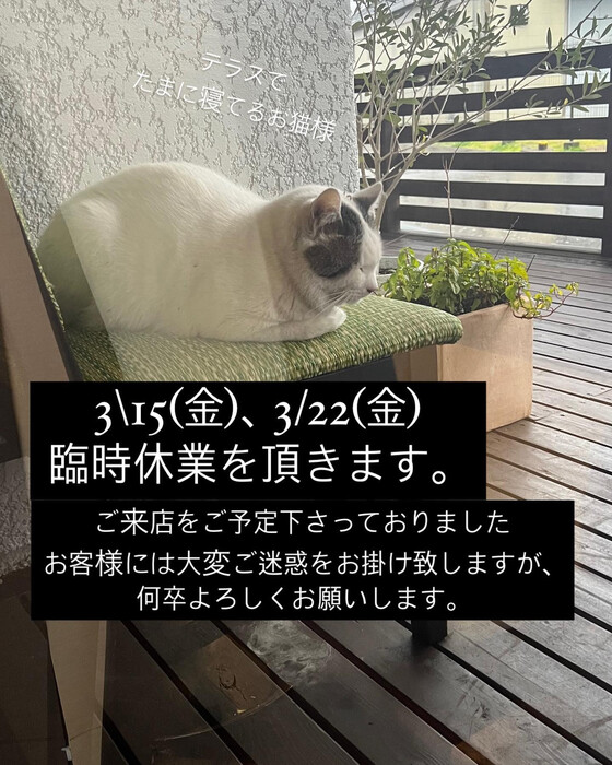 画像409