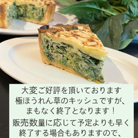 画像411