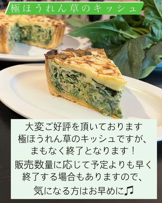 画像411
